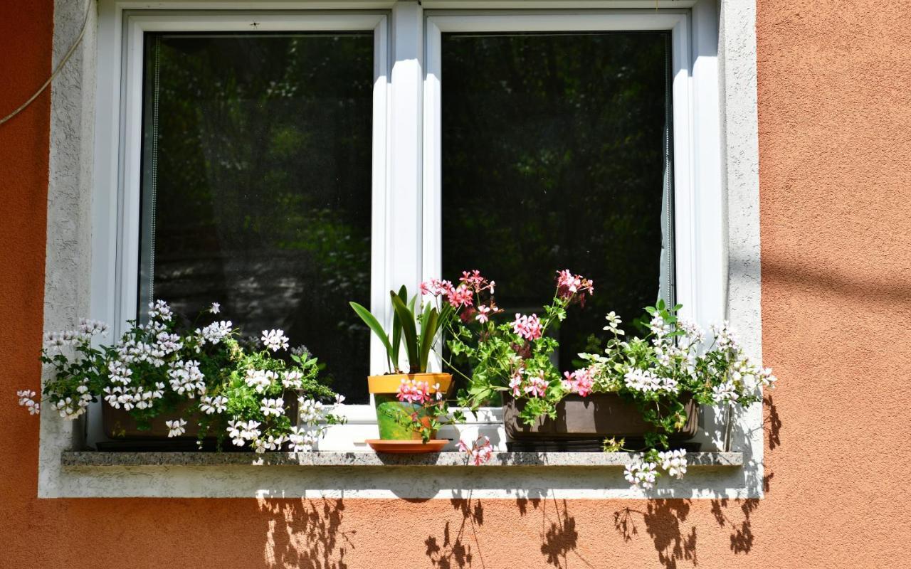 Apartments Matovina Saborsko Esterno foto